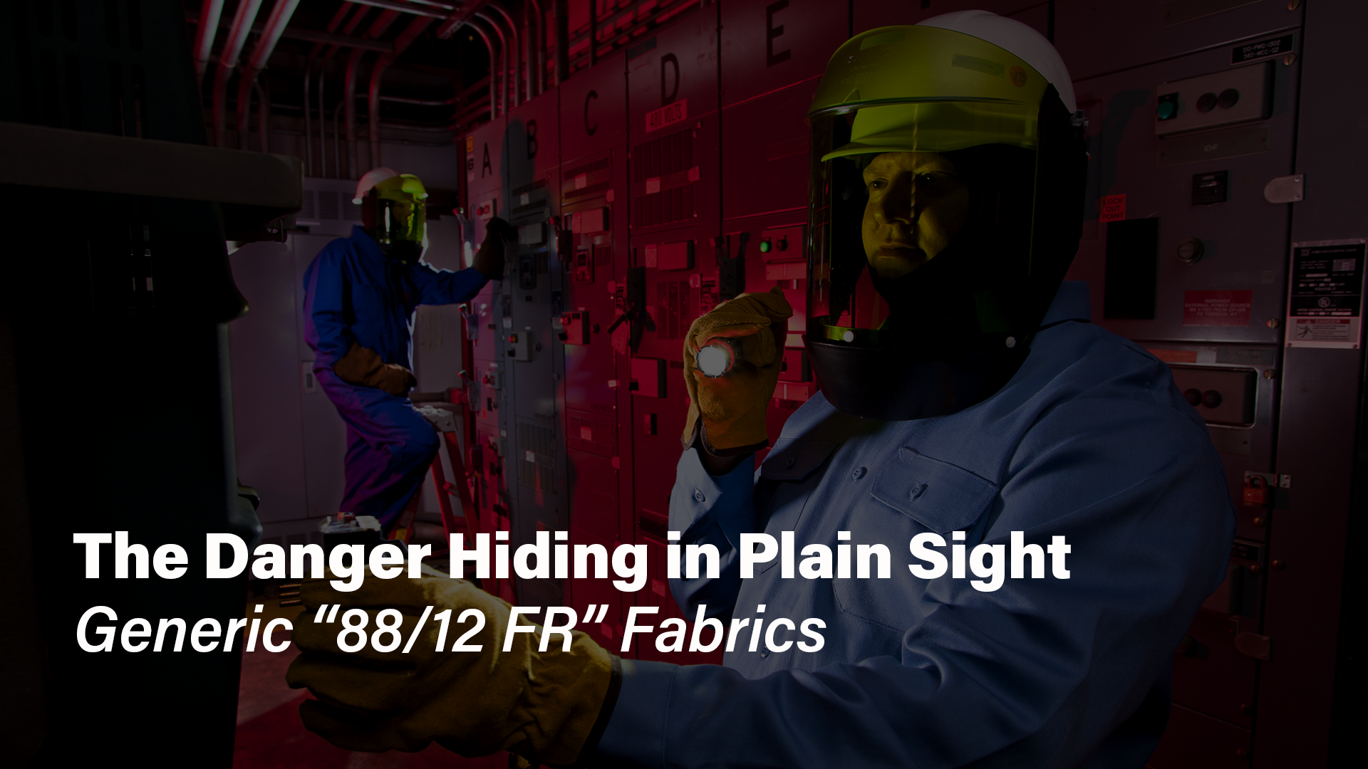 danger hiding in plain sight generic 88/12 fr fabric
